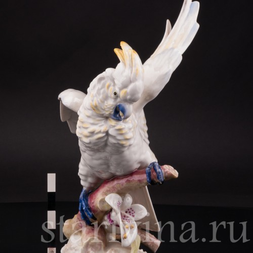 Фарфоровая статуэтка попугая Какаду на орхидее, Hutschenreuther, Германия, 1968-70 гг.