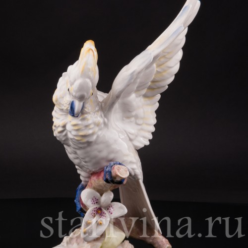 Фарфоровая статуэтка попугая Какаду на орхидее, Hutschenreuther, Германия, 1968-70 гг.