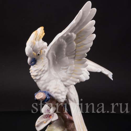 Фарфоровая статуэтка попугая Какаду на орхидее, Hutschenreuther, Германия, 1968-70 гг.