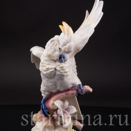Фарфоровая статуэтка попугая Какаду на орхидее, Hutschenreuther, Германия, 1968-70 гг.