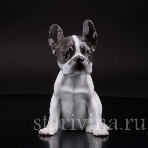 Фарфоровая статуэтка собаки Щенок французского бульдога Rosenthal, Германия.