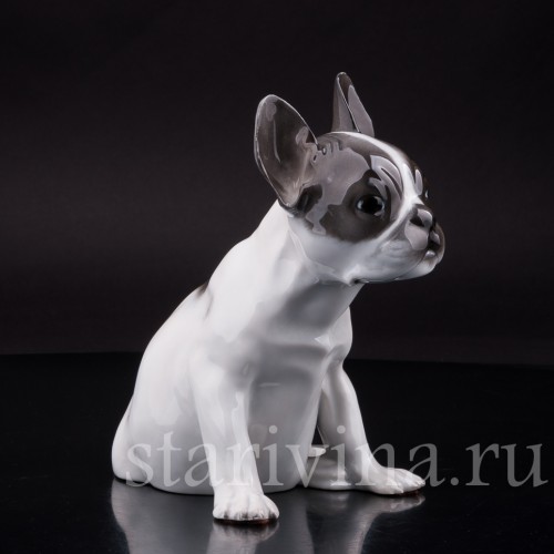 Фарфоровая статуэтка собаки Щенок французского бульдога Rosenthal, Германия.