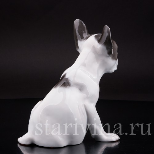 Фарфоровая статуэтка собаки Щенок французского бульдога Rosenthal, Германия.