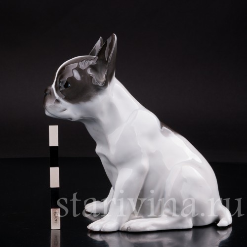 Фарфоровая статуэтка собаки Щенок французского бульдога Rosenthal, Германия.