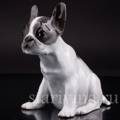Фарфоровая статуэтка собаки Щенок французского бульдога Rosenthal, Германия.