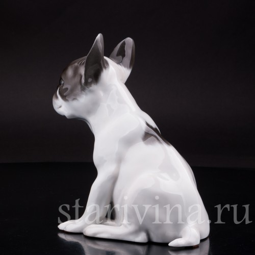 Фарфоровая статуэтка собаки Щенок французского бульдога Rosenthal, Германия.