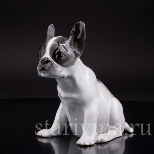 Фарфоровая статуэтка собаки Щенок французского бульдога Rosenthal, Германия.
