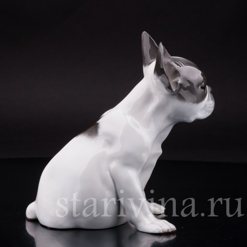 Фарфоровая статуэтка собаки Щенок французского бульдога Rosenthal, Германия.