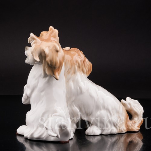 Две болонки, Karl Ens, Германия, 1920-30 гг