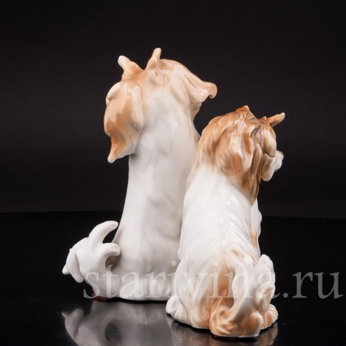 Две болонки, Karl Ens, Германия, 1920-30 гг