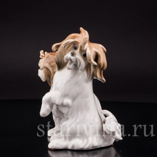 Две болонки, Karl Ens, Германия, 1920-30 гг