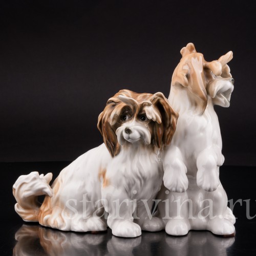 Две болонки, Karl Ens, Германия, 1920-30 гг