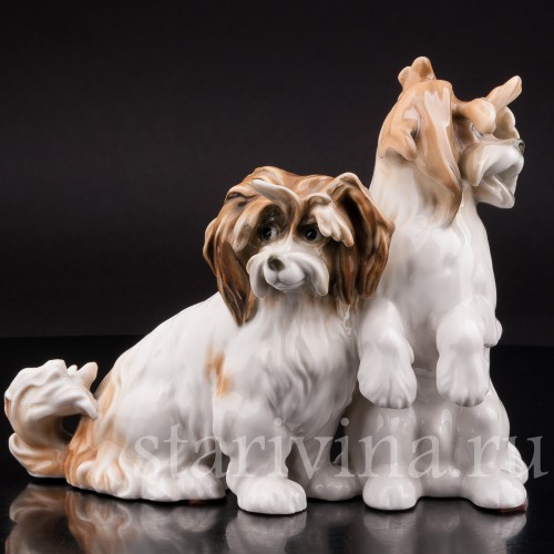 Две болонки, Karl Ens, Германия, 1920-30 гг