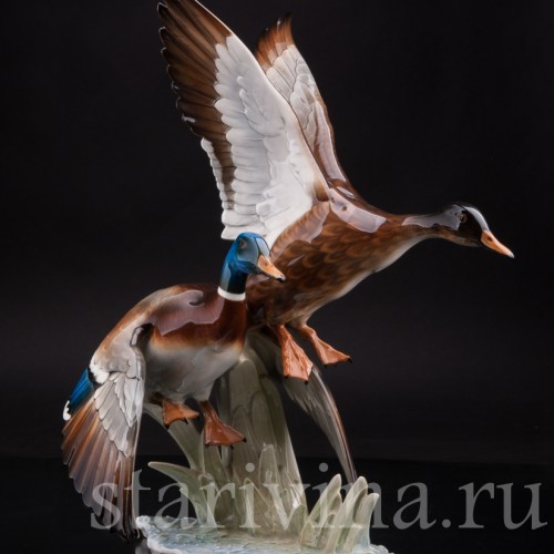 Фарфоровая фигурка птиц Взлетающие утки, Hutschenreuther, Германия, 1970 гг.