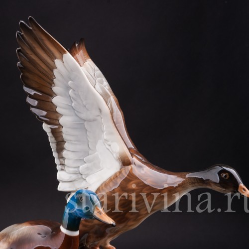 Фарфоровая фигурка птиц Взлетающие утки, Hutschenreuther, Германия, 1970 гг.