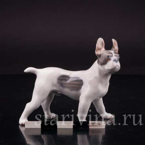 Фарфоровая статуэтка собаки Французский бульдог, Royal Copenhagen, Дания, 1970 гг.