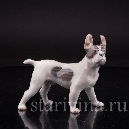 Фарфоровая статуэтка собаки Французский бульдог, Royal Copenhagen, Дания, 1970 гг.