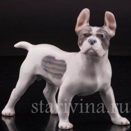 Фарфоровая статуэтка собаки Французский бульдог, Royal Copenhagen, Дания, 1970 гг.