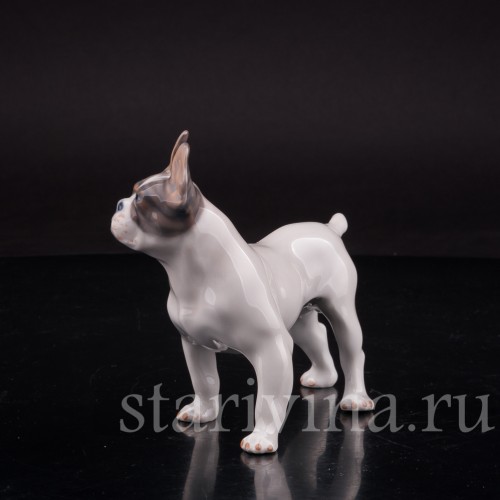 Фарфоровая статуэтка собаки Французский бульдог, Royal Copenhagen, Дания, 1970 гг.