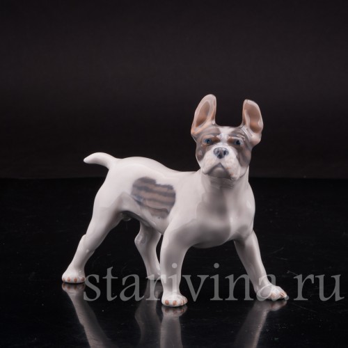 Фарфоровая статуэтка собаки Французский бульдог, Royal Copenhagen, Дания, 1970 гг.