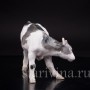 Фигурка из фарфора Телочка, Bing & Grondahl, Дания.