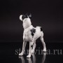Статуэтка собаки из фарфора Дог, Hutschenreuther, Германия, 1970 гг.