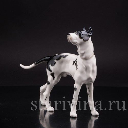 Статуэтка собаки из фарфора Дог, Hutschenreuther, Германия, 1970 гг.