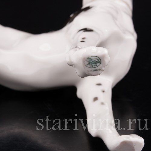 Статуэтка собаки из фарфора Дог, Hutschenreuther, Германия, 1970 гг.