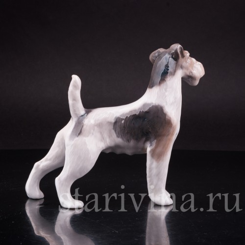 Фокстерьер, Royal Copenhagen, Дания