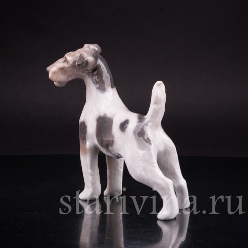 Фокстерьер, Royal Copenhagen, Дания