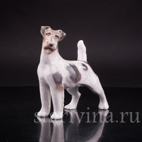 Фокстерьер, Royal Copenhagen, Дания