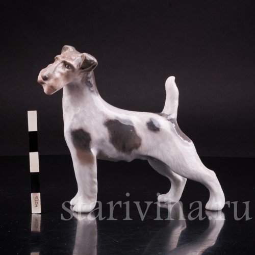 Фокстерьер, Royal Copenhagen, Дания