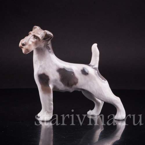 Фокстерьер, Royal Copenhagen, Дания