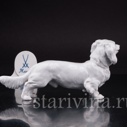 Статуэтка собаки из фарфора Длинношерстная такса, Meissen, Германия, вт. пол. 20 в.