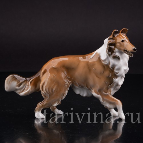 Статуэтка собаки из фарфора Колли, Hutschenreuther, Германия, 1970 гг.