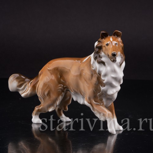 Статуэтка собаки из фарфора Колли, Hutschenreuther, Германия, 1970 гг.