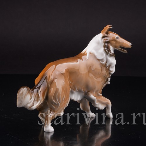 Статуэтка собаки из фарфора Колли, Hutschenreuther, Германия, 1970 гг.