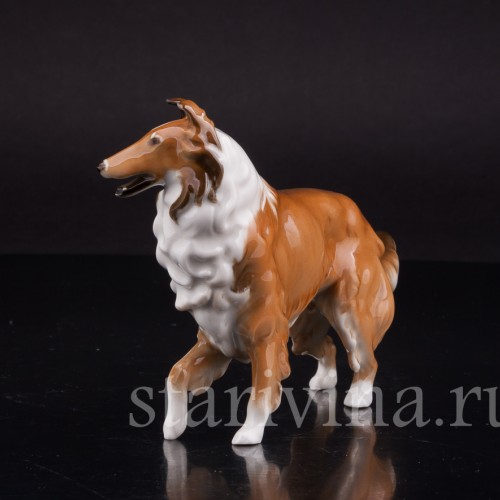 Статуэтка собаки из фарфора Колли, Hutschenreuther, Германия, 1970 гг.