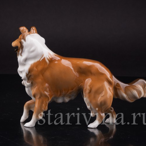 Статуэтка собаки из фарфора Колли, Hutschenreuther, Германия, 1970 гг.
