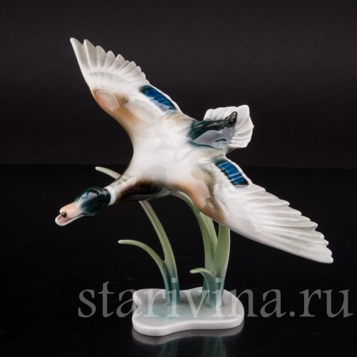 Статуэтка птицы из фарфора Взлетающий селезень, Alka Kaiser, Германия, сер. 20 в.