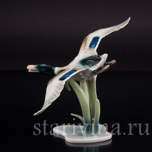 Статуэтка птицы из фарфора Взлетающий селезень, Alka Kaiser, Германия, сер. 20 в.
