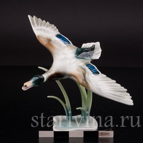 Статуэтка птицы из фарфора Взлетающий селезень, Alka Kaiser, Германия, сер. 20 в.