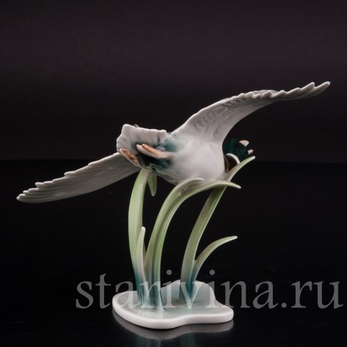 Статуэтка птицы из фарфора Взлетающий селезень, Alka Kaiser, Германия, сер. 20 в.