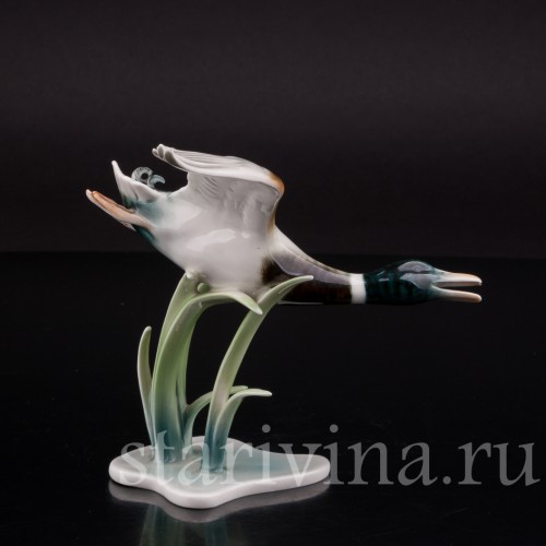 Статуэтка птицы из фарфора Взлетающий селезень, Alka Kaiser, Германия, сер. 20 в.