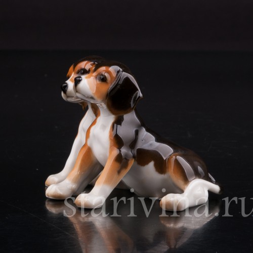 Два бигля, миниатюра, Hutschenreuther, Германия, 1980 гг.