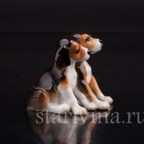 Два бигля, миниатюра, Hutschenreuther, Германия, 1980 гг.