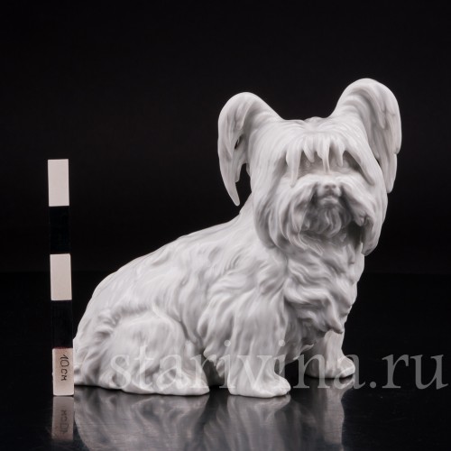 Фарфоровая статуэтка собаки Скай терьер, Augarten, Австрия.