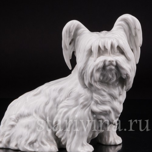 Фарфоровая статуэтка собаки Скай терьер, Augarten, Австрия.