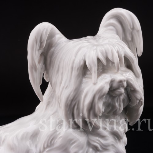 Фарфоровая статуэтка собаки Скай терьер, Augarten, Австрия.