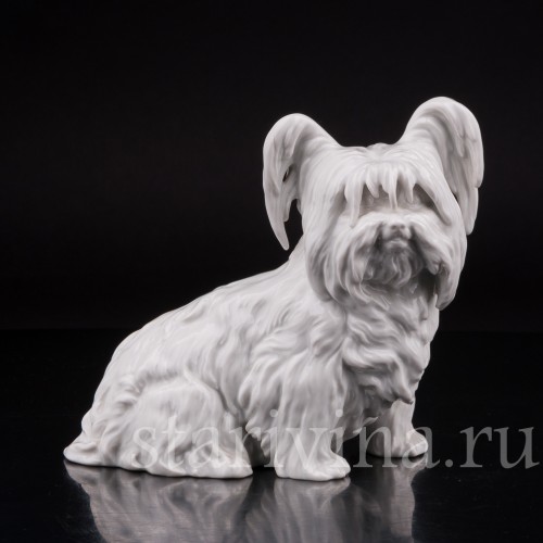 Фарфоровая статуэтка собаки Скай терьер, Augarten, Австрия.